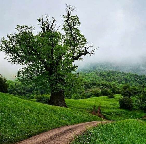 محسن رستمی خاطرات